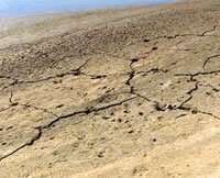 Global Warming