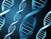 Genes in Human DNA