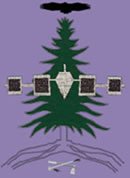 Iroquois Great Law of Peace symbol