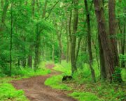 Defending earth�s ecosystem