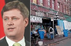 The Americanization agenda of Prime Minister Stephen Harper
