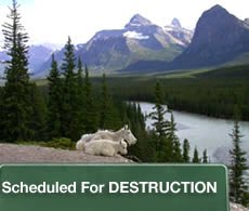 Scheduled For Destruction