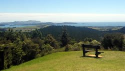 Mount Bledisloe