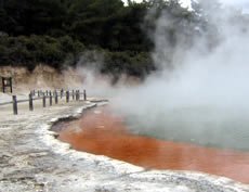 Champagne Pool