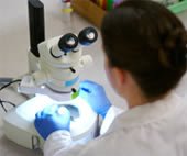 U.S. investigative researchers