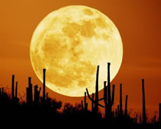 Moon sunset in Arizona