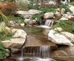 Natural environment
