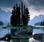 Natural environment