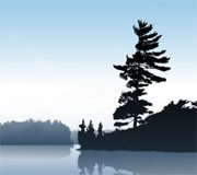 Canadian Forest