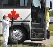 Greyhound Bus