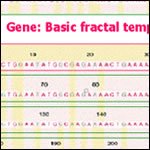 DNA fractal patterns: Click to view