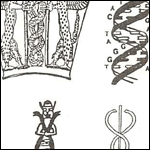 DNA double helix: Click to view