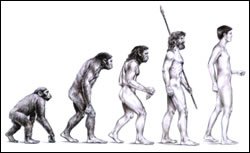 Theory of Evolution