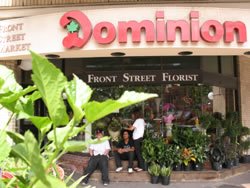 Dominion at Jarvis in Toronto