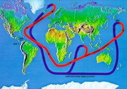 Ocean thermohaline conveyor system