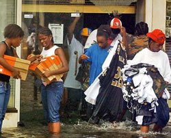 New Orleans and the Politics of Greed