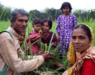 Indian farmers