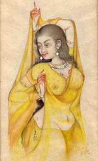 The Indian Sari