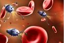COVID-19 vaccines distribute nanoparticles in the whole body